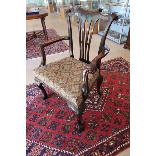  A good quality mahogany Georgian style armchair on carved cabriole legs - in good condition