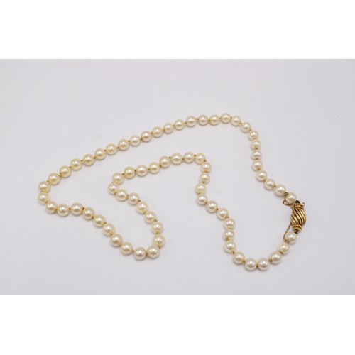 57 - A String of Pearls with an 18ct Yellow Gold Clasp, Pearls are a Good Colour and Well Matched, approx... 