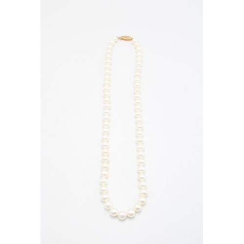 73 - A 14ct Clasped Row of Cultured Pearls&nbsp;Length: 44cm&nbsp;