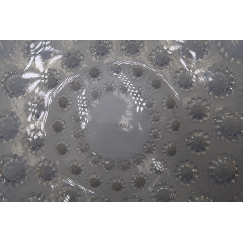 466 - A glass 'Volubilis' plate, with etched signature 'R Lalique France', diameter 28cm