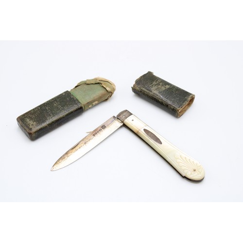 313 - A Sterling Silver, Mother of Peal Handled Edwardian Pocket Knife