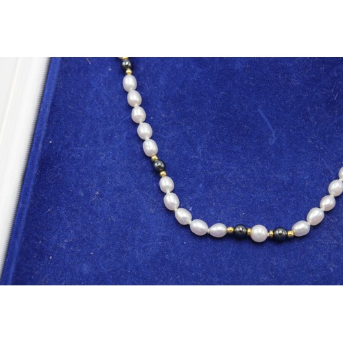 35 - A Cellini Freshwater Pearl Necklace approx. 38cms Long, Interspaced with 18ct Yellow Gold Beads with... 
