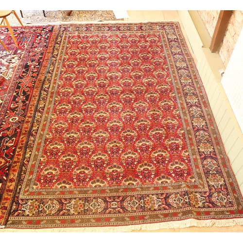 Lot 607       