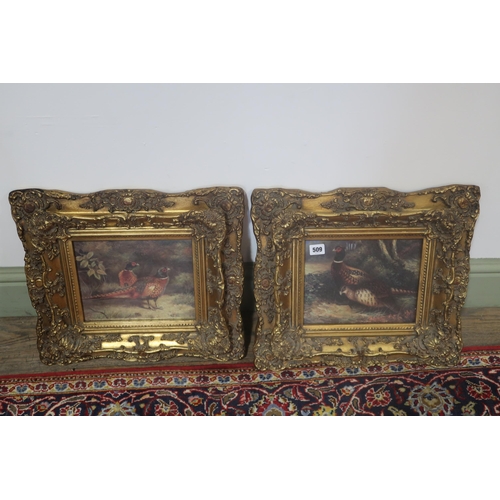 509 - A pair of pictures of pheasants, probably late 20th c, apparently unsigned, oil on board, elaboratel... 
