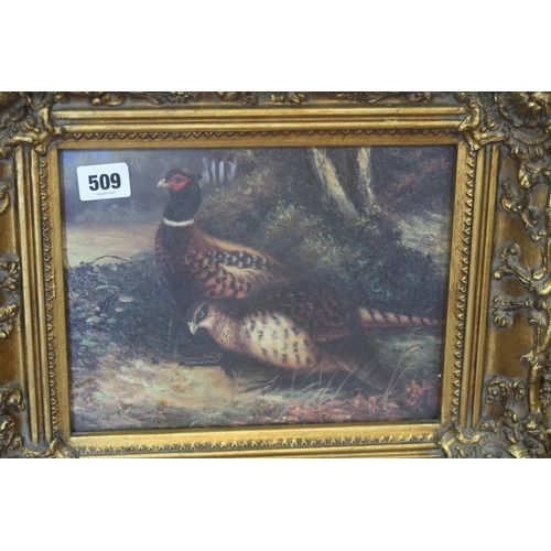 509 - A pair of pictures of pheasants, probably late 20th c, apparently unsigned, oil on board, elaboratel... 