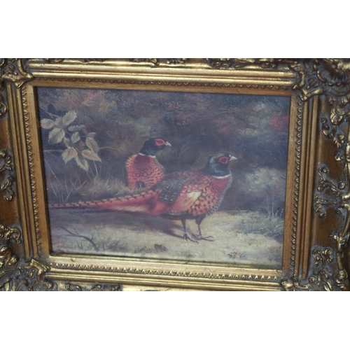 509 - A pair of pictures of pheasants, probably late 20th c, apparently unsigned, oil on board, elaboratel... 