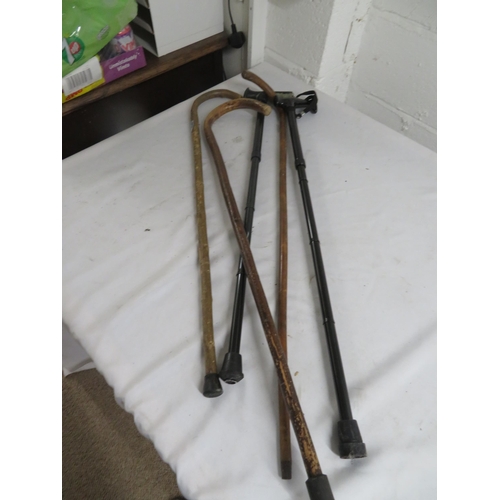 2 - Selection of walking sticks