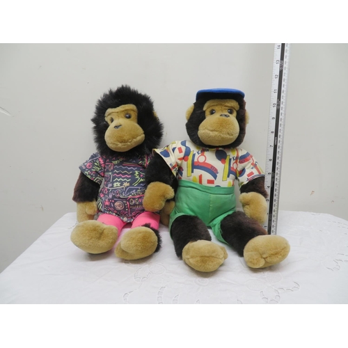 6 - Kevin and Samantha 1980's PG tips Monkeys