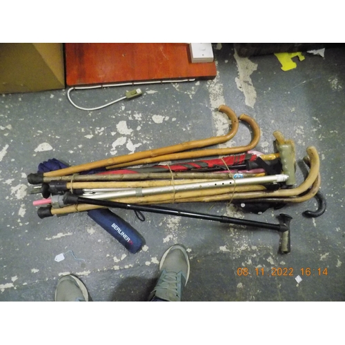 109 - Large Selection of Walking Sticks and Umbrellas