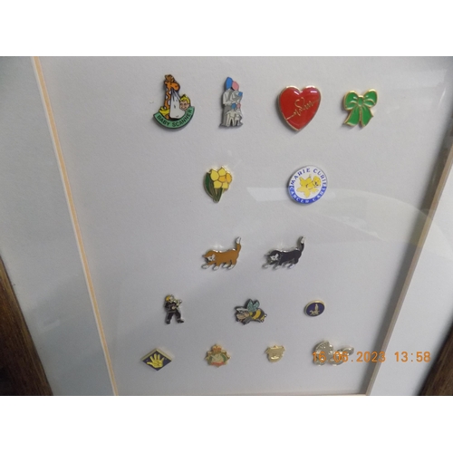 546 - 15 Framed Pin Badges