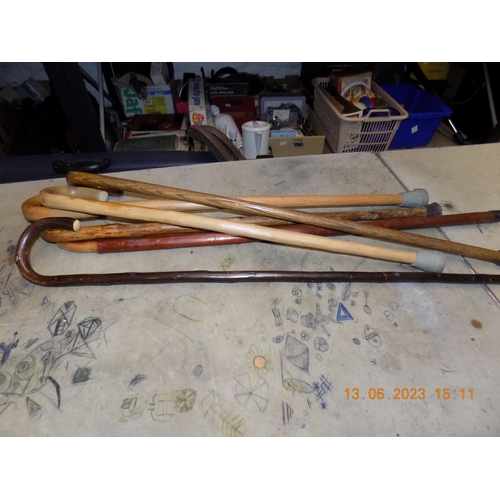 Lot 17        