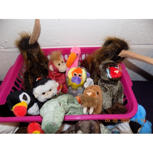 22 - Selection of Beanie Babies