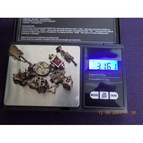 79 - Selection of Silver Charms