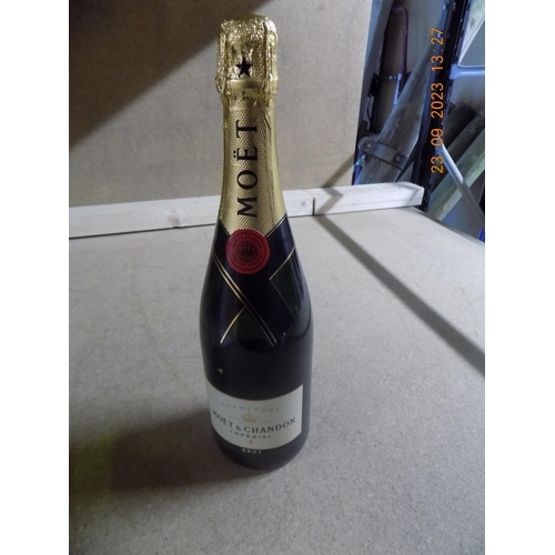 44 - Bottle of Moet