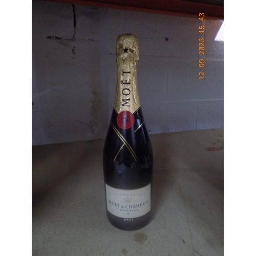 Lot 56        