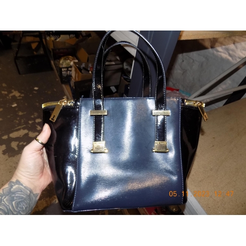 119 - Ted Baker Bag