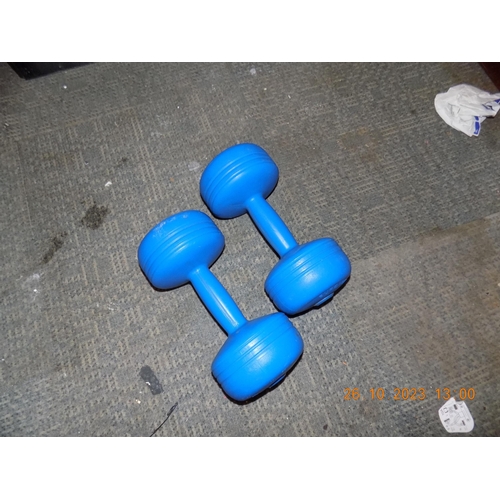 235 - Set of Dumbells