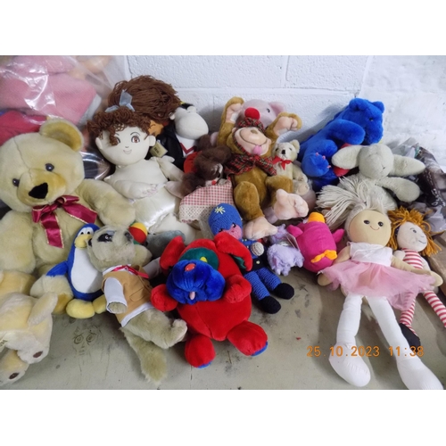 1 - Selection of Teddies