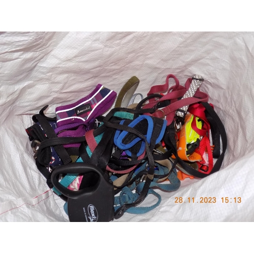 125 - Bag of Dog and Cat Leads