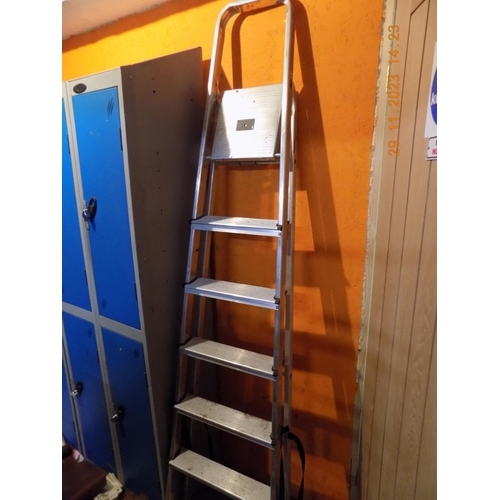 321 - Large Step Ladders