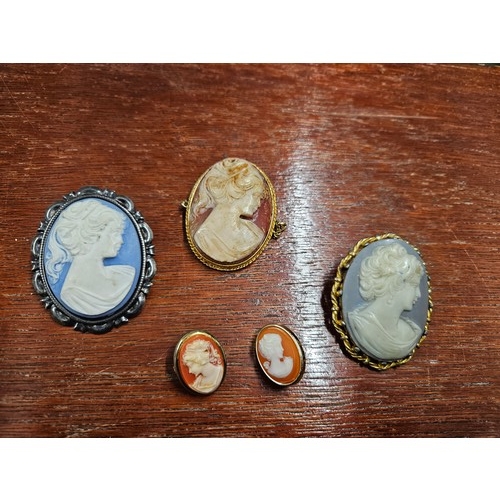 562 - Quantity of Cameo Design Brooches