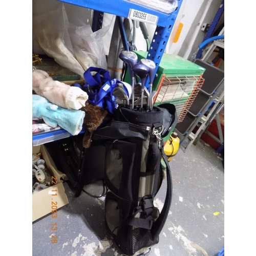 287 - Set of Golf Clubs in Bag and Golf Caddy