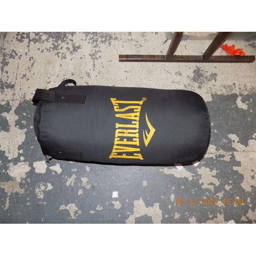 576 - Everlast Punch Bag