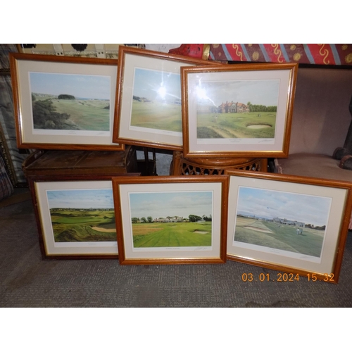 459 - 6 Golf Club Pictures