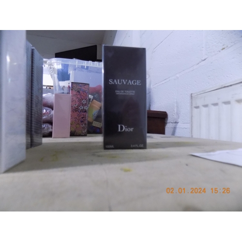 74 - Sauvage 100ml Dupe