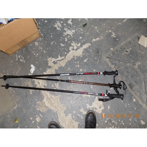 58 - 3 Ski Poles