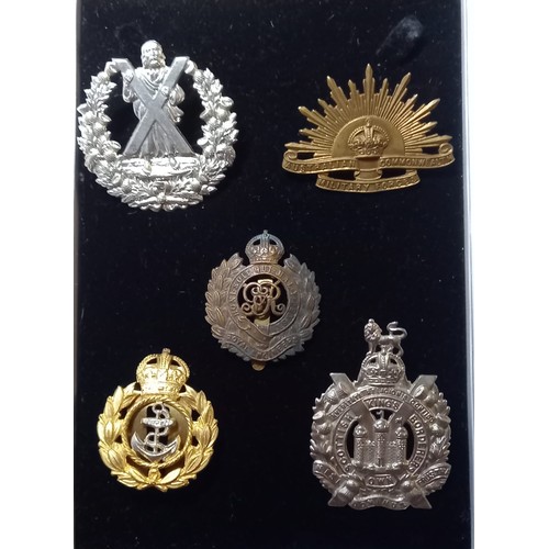 576 - Selection of Military Cap badges