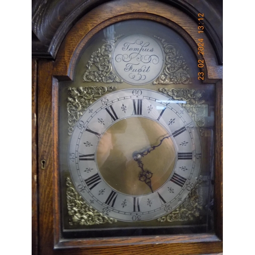 524 - Grandfather Clock