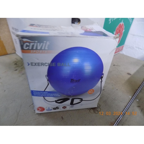 50 - Boxed Exercise Ball