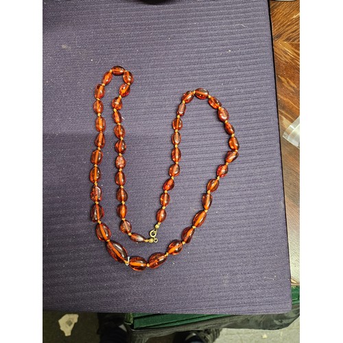 553 - Amber Necklace