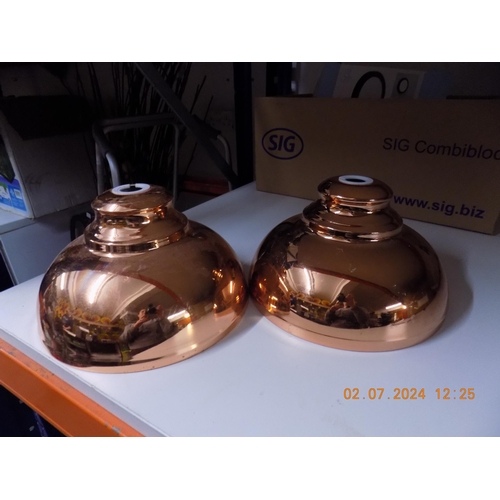 141 - 2 Metal Light Shades