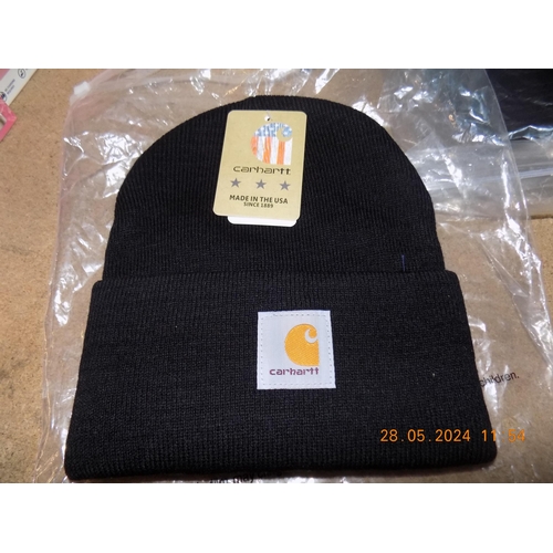 46 - New Carhartt Hat