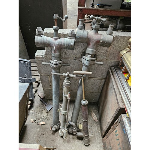 Lot 20        