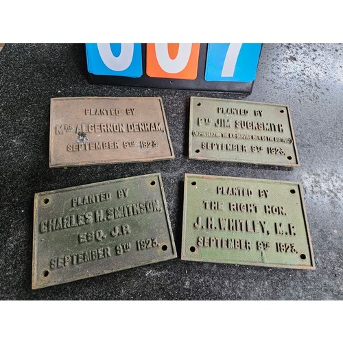 Lot 7         