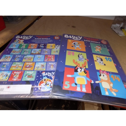 205 - 2 Bluey Advent Books