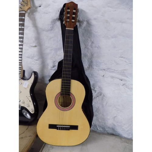 282 - Eleca Acoustic Guitar