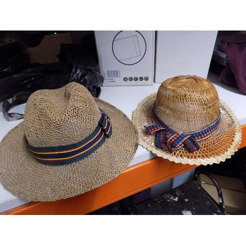 355 - 2 Hats