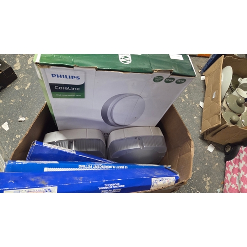 254 - A Collection of Philips and Fluorescent Lighting Fixtures