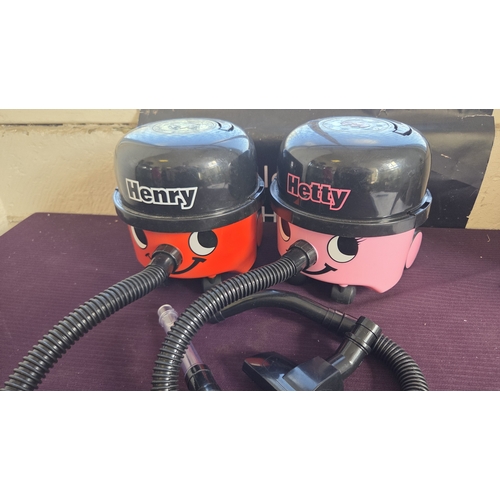 71 - A Pair of Novelty Miniature Vacuum Cleaners Modelled as Henry and Hetty working order