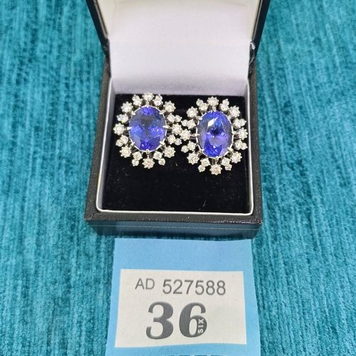 36 - Ladies Tanzanite & Diamond Earrings
- 18ct White Gold