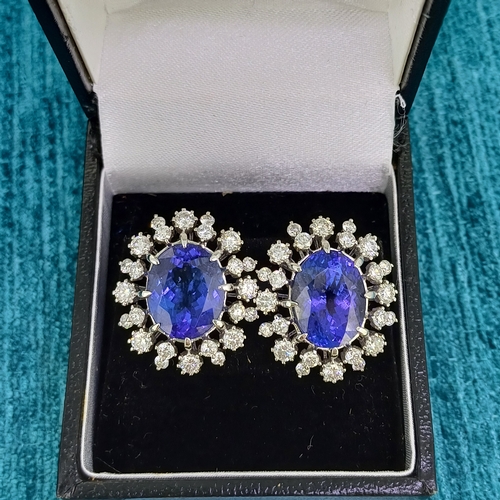 36 - Ladies Tanzanite & Diamond Earrings
- 18ct White Gold