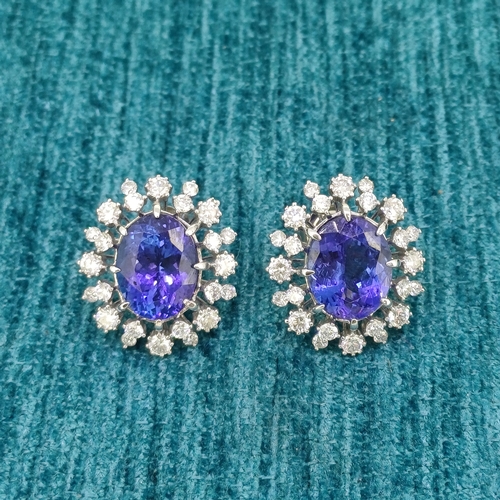 36 - Ladies Tanzanite & Diamond Earrings
- 18ct White Gold