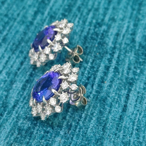 36 - Ladies Tanzanite & Diamond Earrings
- 18ct White Gold