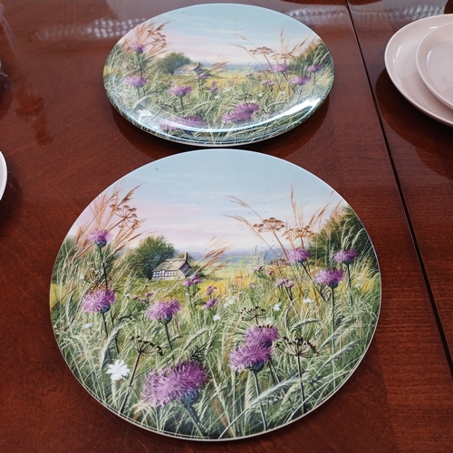 132 - A Pair of Royal Doulton Plates  