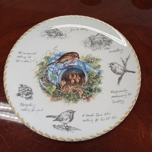 134 - Wedgwood Plate 