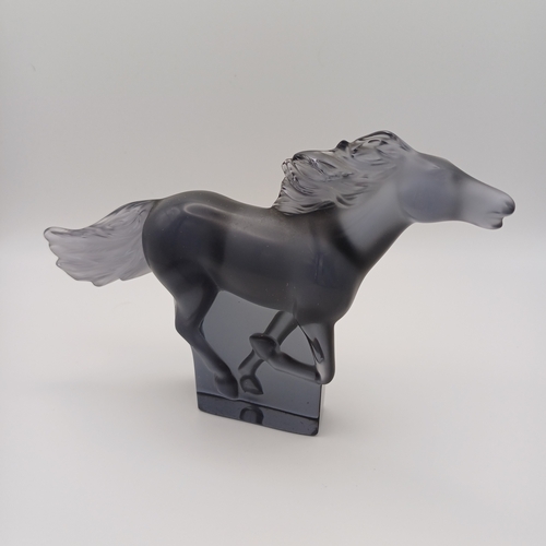 88 - A signed Lalique Galloping Horse in Smoked Glass